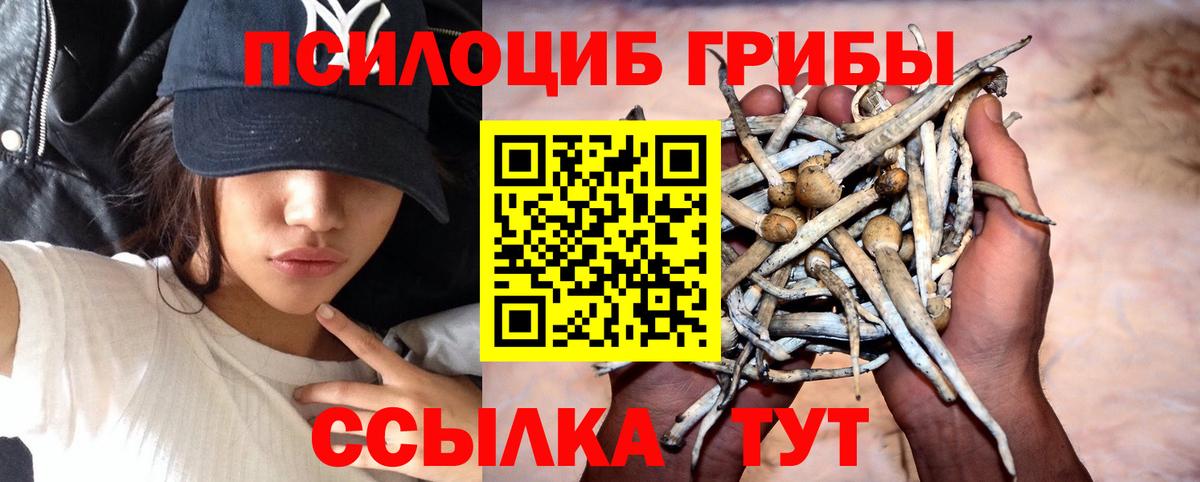 Галлюциногенные грибы Magic Shrooms Кирово-Чепецк